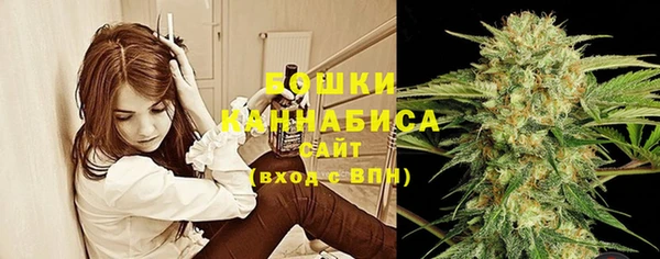 ПСИЛОЦИБИНОВЫЕ ГРИБЫ Надым