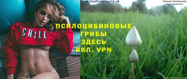 соль курить ск Наволоки