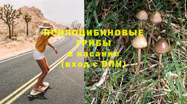 ПСИЛОЦИБИНОВЫЕ ГРИБЫ Надым