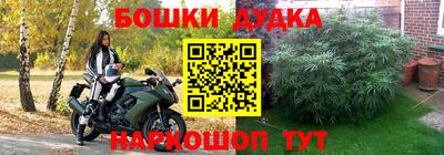 МДПВ Абакан