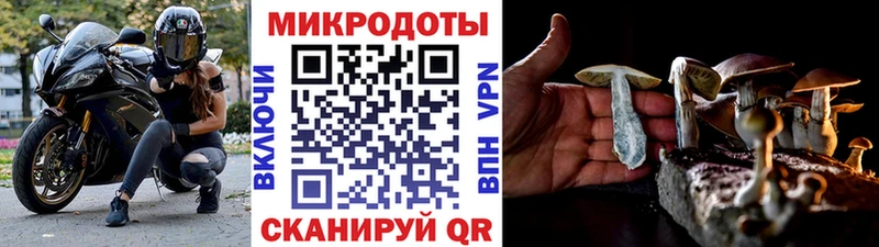 Псилоцибиновые грибы GOLDEN TEACHER  Энгельс 