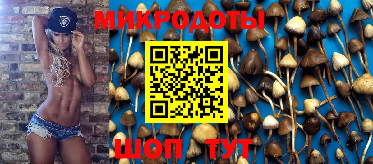 Псилоцибиновые грибы прущие грибы Энгельс