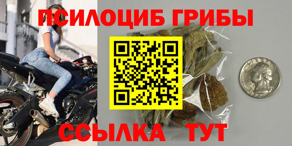 Энгельс  закладка  Вход с VPN  Псилоцибиновые грибы мухоморы 